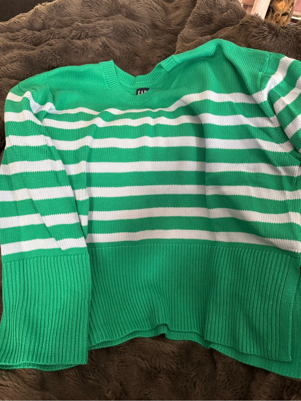 GAP Green and Light Blue Striped Crewneck Sweater